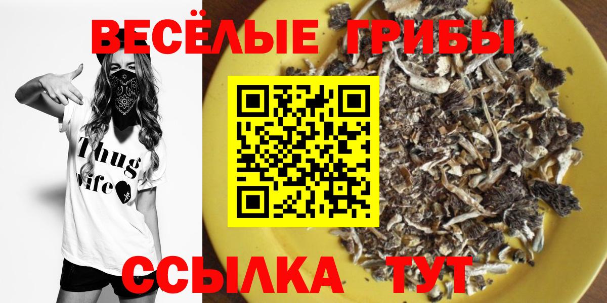 Тосно  Галлюциногенные грибы прущие грибы  Вход с VPN  Псилоцибиновые грибы Cubensis 